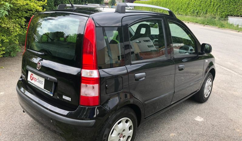 FIAT PANDA 1.2 Bz. Cv. 69 DINAMIC 5 PORTE pieno